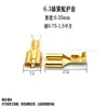 Carcasa de Terminal de Contacto de Resorte Interruptor de Navaja Conector de Cobre 2.8/4.8/6.3mm Conector Macho/Hembra de Enchufe