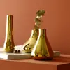Vaso Pequeno de Cerâmica Dourada Estilo Nórdico Ins Luxo Leve para Flores Secas, Decoração de Mesa, Adereço de Fotografia
