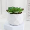 Planta Suculenta DIY Cesto da Fortuna de Caqui Conjunto de Eucalipto Dourado Planta em Vaso Venda Quente Transfronteiriça Flor Artificial Arranjo de Cena