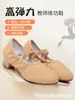 Zapatos de Baile para Mujer Suela Blanda Zapatos de Práctica Zapatos para Profesores Adultos Tacón Bajo Zapatos de Ballet para Exteriores Danza Clásica Danza del Vientre Yoga