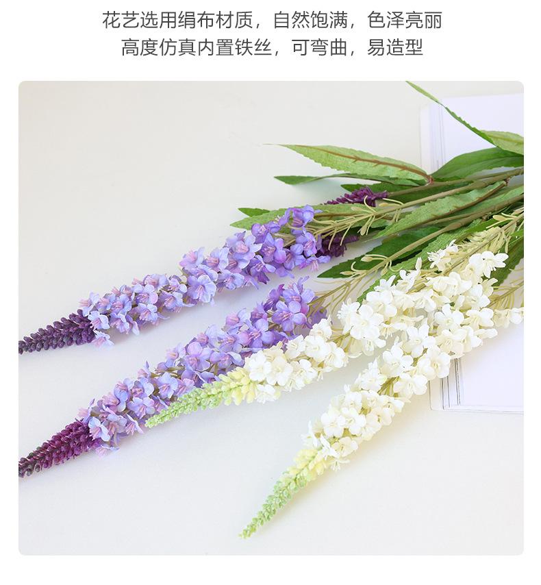 梵思单枝薰衣草_13.jpg