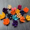 30 Pinhas, Pinhas Bonitas, Decoração de Jardim de Infância, Joias Criativas Feitas à Mão, Pintura de Pinhas, Torre de Pinhas DIY Pinha