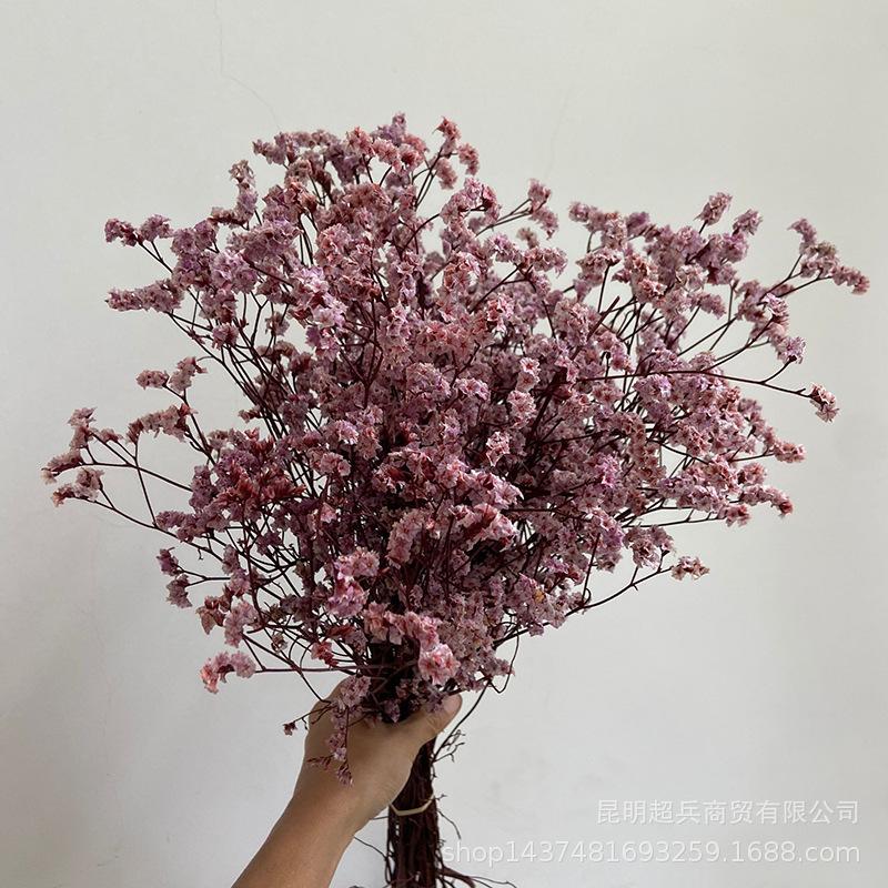 QQ图片20210804154222.jpg