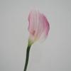 Lírio-de-calla Flor Artificial de Alta Qualidade Negócio em Casa Arranjo de Flores Decoração Decoração de Mesa Paisagismo de Casamento Adereços para Fotografia