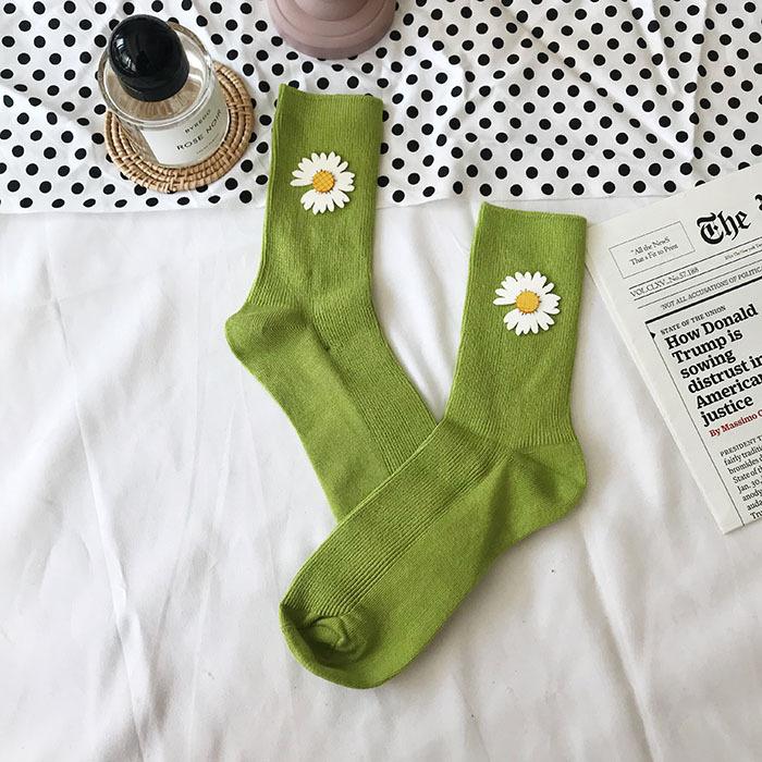 IMG_5397(20191229-232248)