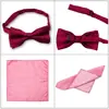Conjunto de Gravata Borboleta e Lenço de Cor Sólida com Listras para Homens, Acessórios de Terno de Negócios de Alta Qualidade, Gravata Borboleta em Estoque