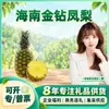 Abacaxi Diamante Dourado de Hainan Selecionado Cuidadosamente Compra Atacado Fresco Fruta Pequena Média Grande / Caixa Colorida / 1 Fruta Fresca