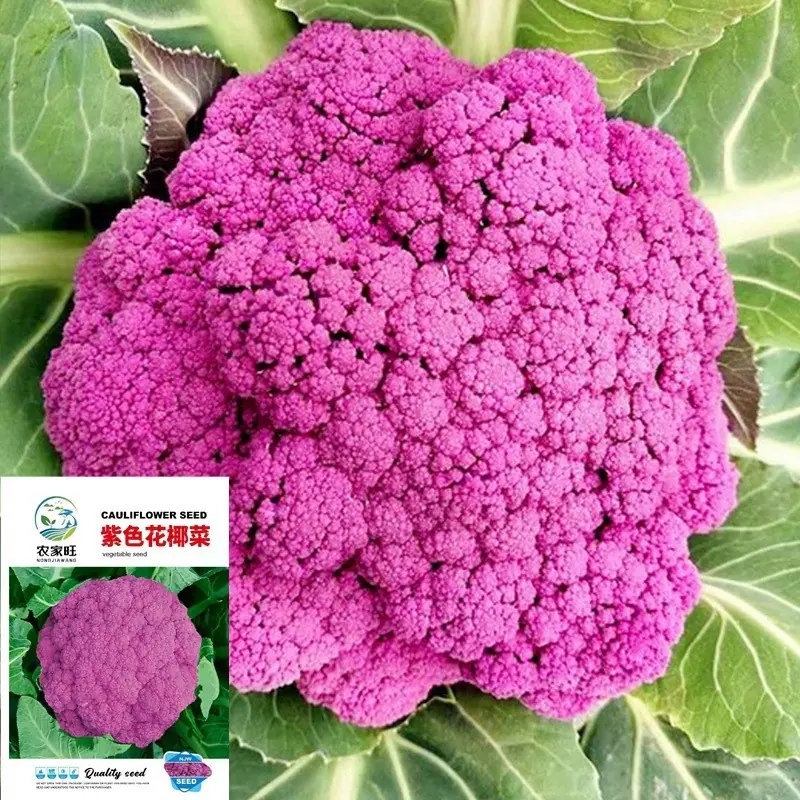 花菜类主图３