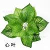 Pared de Plantas Simuladas, Decoración de Césped Artificial de Plástico Falso, Accesorios para Pared de Plantas Verdes, Césped de Eucalipto Simulado Milán Encriptado
