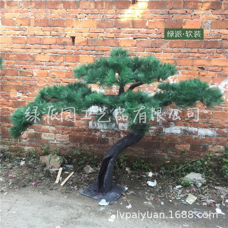 迎客松281.jpg