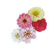 Floración de Cuatro Estaciones, Combinaciones Variadas de Flores Silvestres, Semillas de Flores de Hierba, Flores de Semilla Fáciles de Cultivar y Vivas, Semillas de Flores Mar de Flores Enverdecidas