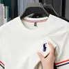 Camiseta de Manga Corta para Hombre, Holgada, Delgada, Transpirable, Seda de Hielo, Nuevo Estilo de Verano, Bordado de Alta Gama, Casual de Moda para Hombre, Manga Corta