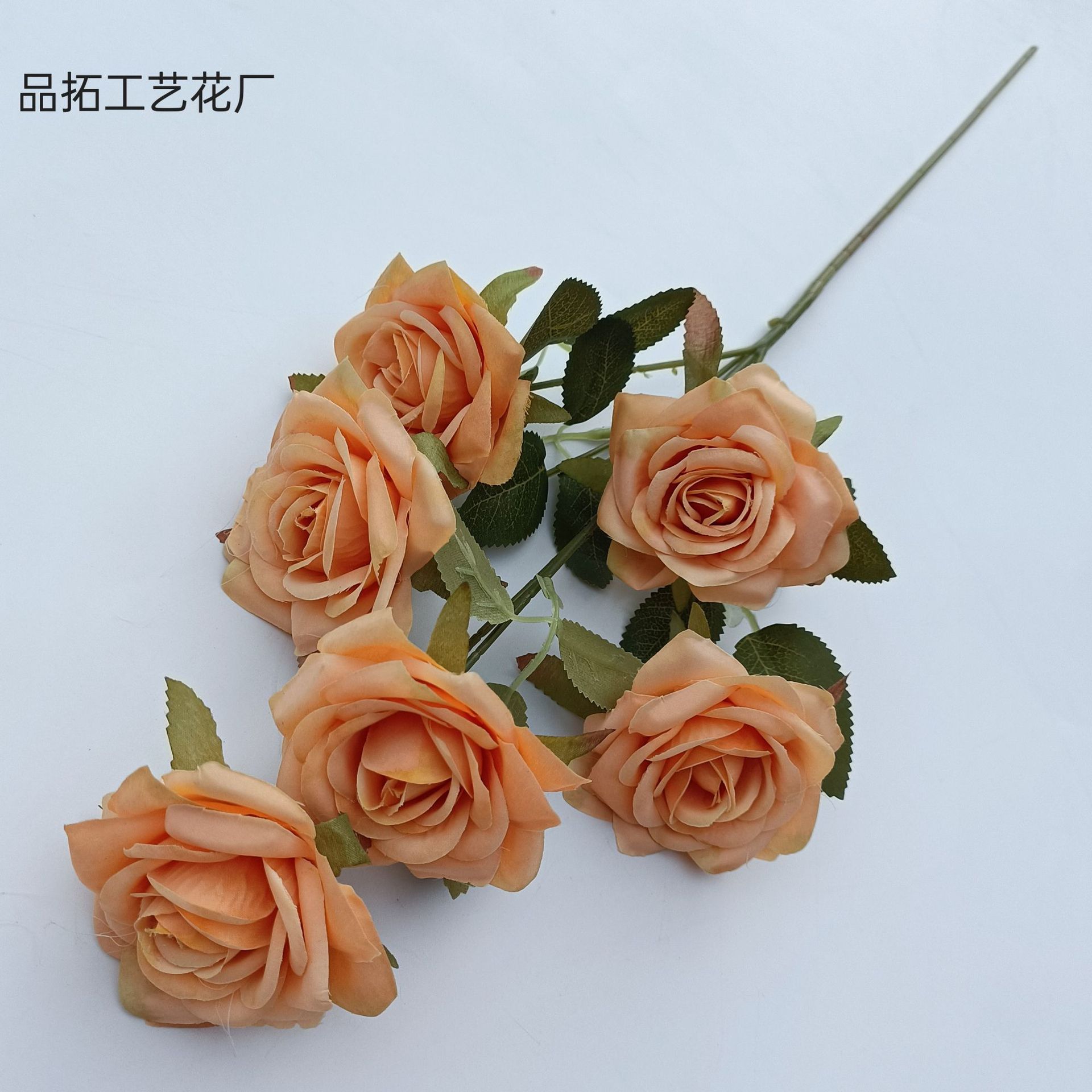 1f906ed9e0037aa6df9ff6ffd234a8