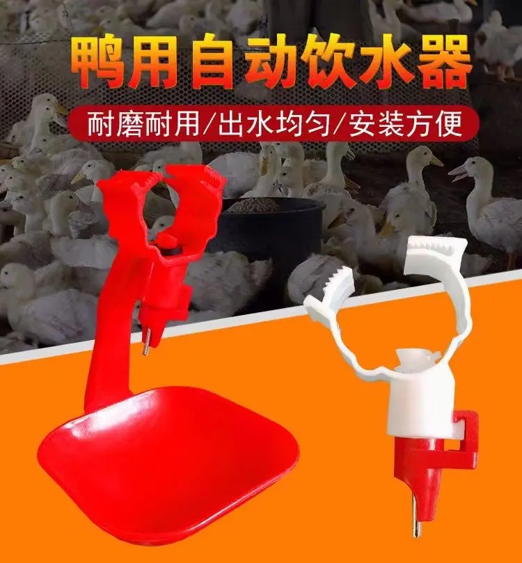 详情 (1).jpg