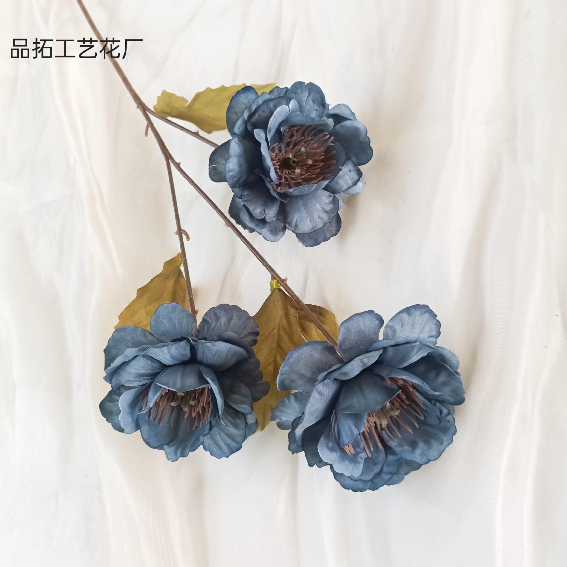 5f0895db3083ce38e189a7f843a419