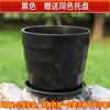 Vaso de Flor Pequeno com Florzinha em Cruz de Linha Colorida Resina Plástica Rosa Verde Suculenta Mesa Planta Verde Simples Planta em Vaso com Prato