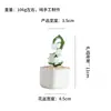 Adornos de Artesanía de Vidriado Zibo Orquídea Suzuki Planta Verde en Maceta Especialidad de Boshan Decoración del Hogar Regalo de Escritorio
