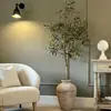 Planta de olivo en maceta para sala de estar interior, esquejes reales, planta grande en maceta, fácil de cuidar, adecuada para inauguración de casa y mudanza