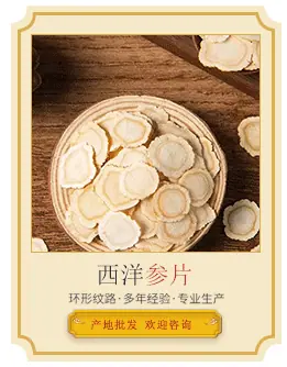 西洋参片导引