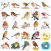 50 Pegatinas de Petirrojo Animales de Dibujos Animados Petirrojos Petirrojos Euroasiáticos Pájaro Impermeables Decorativas para Teléfono Móvil Termos Pegatinas