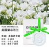 Xiangdao Aromaterapia Armario Gabinete Ampliación Piedra Piezas de Fragancia Yeso Sólido Aromaterapia Caja de Regalo Fragancia para Coche Colgante Regalo de Acompañamiento Fragancia