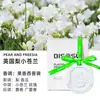 Pendente de Placa de Cera Aromaterápica de Gesso Personalizado Atacado Fragrância de Carro Processamento Incenso Desodorizante para Guarda-Roupa Armário Presente