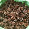 Adornos de piña natural para decoración de Navidad 2-14CM Torre de pino bola de piña material de flor seca hecho a mano para jardín de infantes venta al por mayor