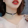 Colar Choker Raposa Rosa Sexy Japonês e Coreano para Mulheres, Corrente Curta para Clavícula, Acessório Simples e Elegante
