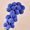 Bolas Doradas del Fabricante, Flores Naturales Reales, Materiales para Manualidades, Decoración del Hogar para la Sala de Estar, Arreglos Florales, Adornos de Flores Secas, Martillos Dorados
