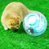 Rueda de Correr para Hámster Rodillo Silencioso de Fitness Juguete Deportivo para Ratón Mascota Antideslizante Duradero Accesorios para Jaula de Hámster Venta al por Mayor