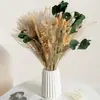 Ramo de flores secas, junco, flores preservadas, decoración de flores naturales de alta gama, arreglo floral estilo nórdico, productos de arte floral, superventas transfronterizo