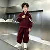 Conjunto de Otoño e Invierno para Niños 2026 Nuevo Elegante Ropa Infantil de Otoño Niños Medianos y Grandes Niños Espesada Deportiva Moderna Ropa Infantil Primavera y Otoño