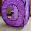 Tienda para gatos, perrera, juguete de gateo, fabricantes
