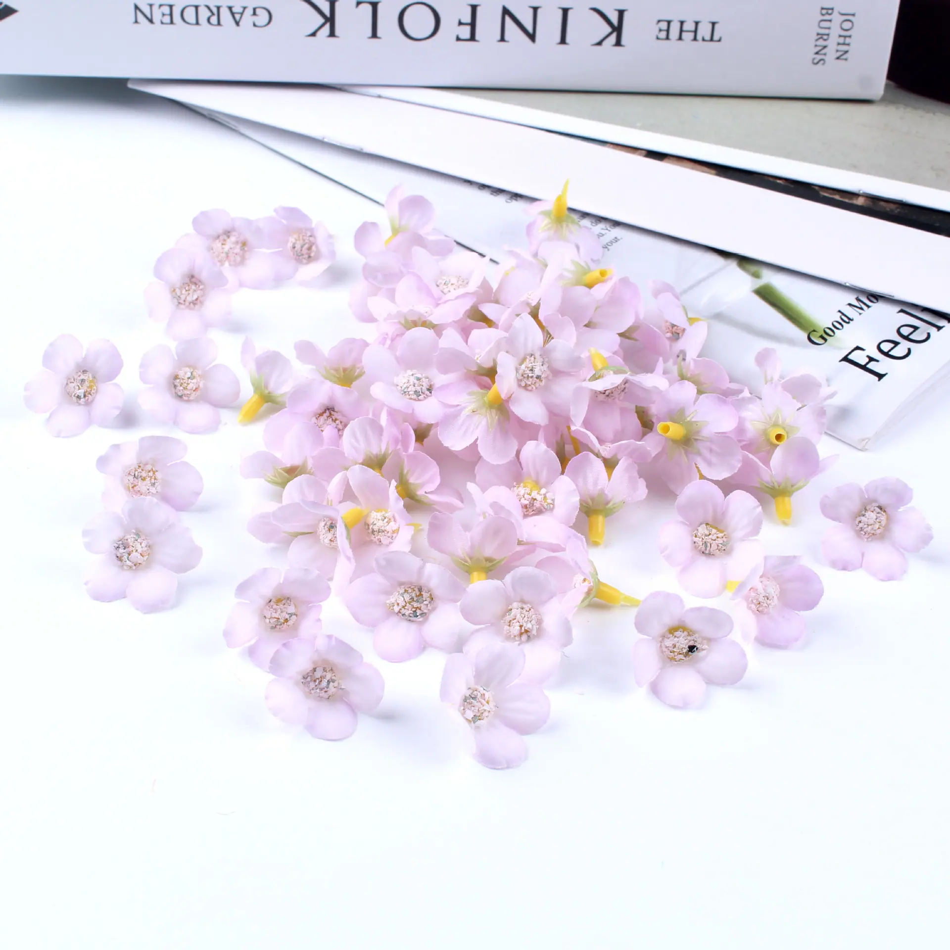迷你小菊花20
