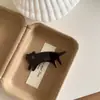 Pinza para el pelo de gato de acetato estilo coreano, pinza lateral de pico de pato para mujer, nuevo clip para flequillo 2025
