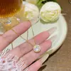 Moda Coreana y Japonesa Exquisito Collar de Diamantes Brillantes para Mujer, Colgante de Diseño de Nicho de Lujo Ligero con un Toque de Alta Gama, Accesorio Versátil y Elegante para la Clavícula