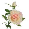 2 Cabeças de Peônias Hidratantes, Flores Artificiais de Alta Qualidade, Arranjos de Flores para Decoração Suave de Casa de Luxo Acessível, Flores Artificiais para Casamento