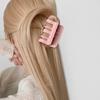 Pinza para el pelo rosa de verano 2023, nueva pinza para el pelo de alta gama para mujer, pinza para el pelo con forma de disco, pinza para el pelo con forma de tiburón, tocado para el pelo