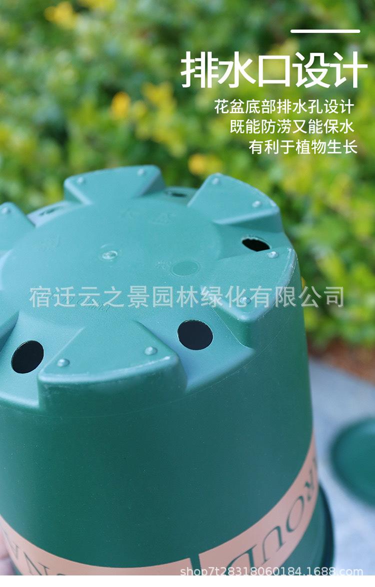 详细9.JPG