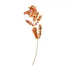 Folhas Ricas Tingidas Únicas Flor Eterna Material Flor Seca Folha Seca Material Decoração de Casamento Atacado em Estoque