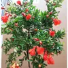Plántula de Granado Maceta Granado Ornamental Bonsái de Granado Rosa Granado Floreciendo Frutal Patio Exterior Balcón Flores