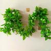 Fruta Ratán Verdura Flor Artificial Aire Acondicionado Hoja de Uva Colgante de Techo Flor Decorativa Flor de Tirar Pimiento Manzana Calabaza
