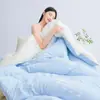 Control de Temperatura para Sueño Profundo Colcha Cuatro Estaciones Pro3.0 Colcha de Invierno Colcha de Primavera y Otoño Colcha Madre-Hija Dormitorio Estudiantil Colcha Engrosada Cálida Relleno de Colcha