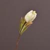 Simulación directa de fábrica, venta al por mayor de flores, boda, hogar, hotel, atuendo suave, accesorios de fotografía, simulación de flor imperial, flor del señor supremo