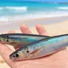 Señuelo Blando para Pesca Transfronteriza Impreso en 3D 15cm 34g Sin Plomo Simulación de Pesca Invertida Señuelo para Peces de Mar para Pesca