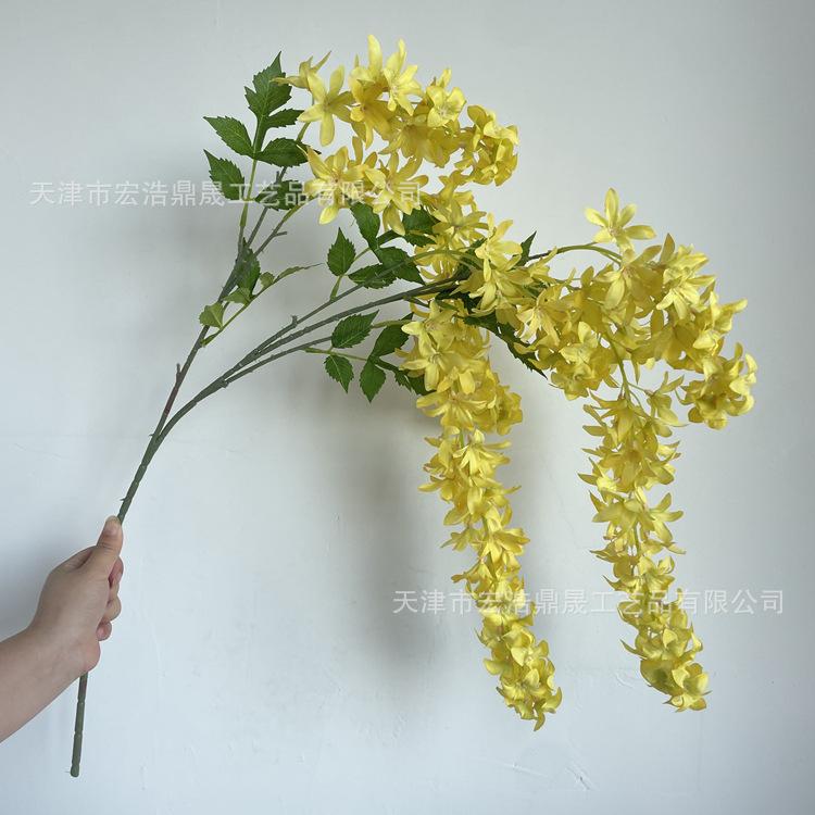 微信图片_202208241819533_副本