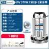 Bomba sumergible de CC de alto flujo 12V24V48V60V72V de 2 pulgadas para uso doméstico, agrícola, vehículo eléctrico, bomba de agua de alto caudal