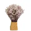 Ramo Eterno de Yunnan Hierba de Cristal Flores Preservadas de Colores Accesorios Florales Decoración del Hogar DIY Flores Secas Accesorios para Fotografía