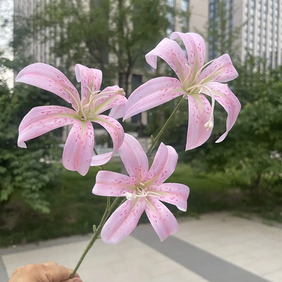 3头铸筋金玉百合-粉色.JPG
