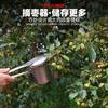 Venta al por mayor de fábrica artefacto para recolectar azufaifo recolector agrícola de azufaifo agrio recolector de arándanos artefacto para frutas tijeras de acero inoxidable para recolectar frutas